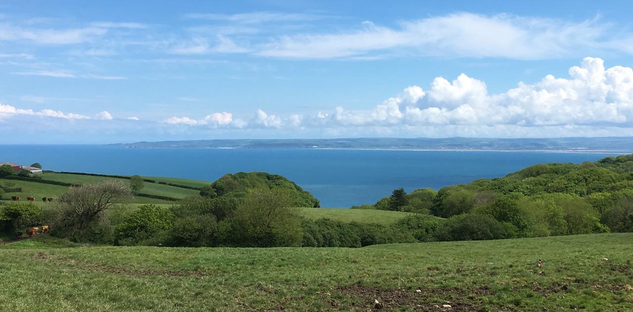 East Dyke Farm B&B Clovelly Kültér fotó